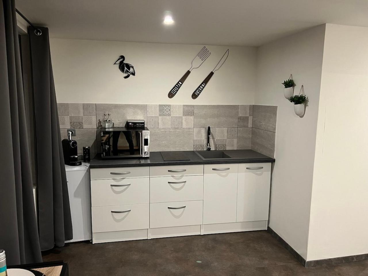 Studio Le Petit Pelican Châtenois Екстериор снимка